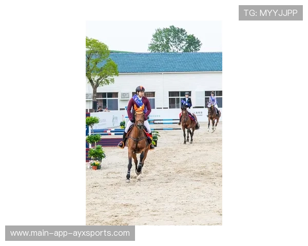 马术市场化管理让赛事更具商业吸引力与观赏性 马术市场化管理让赛事更具商业吸引力与观赏性