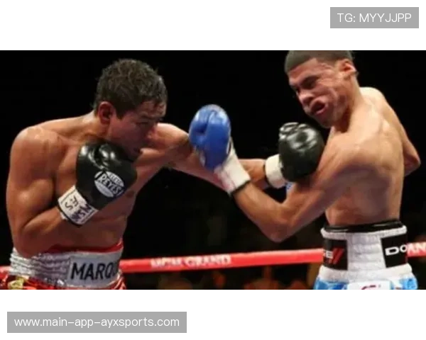 别让力量轻易溜走:拳击选手直拳命中对方面门的致命一击 别让力量轻易溜走:拳击选手直拳命中对方面门的致命一击